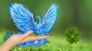 Поймай свою птицу счастья! Бесплатный футаж.