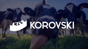 Кейс: многостраничный сайт для инновационного оборудования «Korovski»