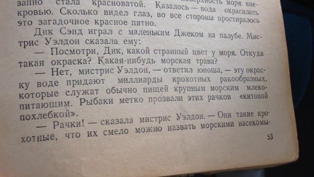 Пятнадцатилетний капитан (Часть I/ГлаваVI)-Кит на горизонте смотреть онлайн