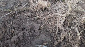 Нашли немецкий самолет времен ВОв. Часть 3