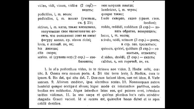 Латинский - 120 смотреть онлайн