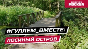#Гуляем_ВМесте: Лосиный остров
