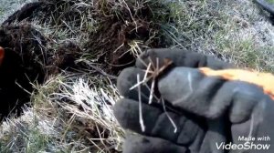 Коп в Самарской области! По выбитым местам!