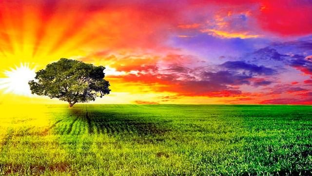 #Casio#Wk-#3500#Hammonds prof.Miki смотреть онлайн