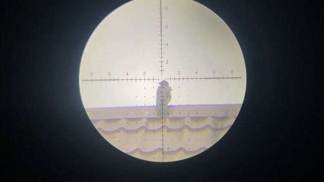 Отпуск начинается. Охота на  Ворону  Кроухантинг. Crow Hunting 2023.# 14