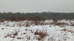 обкатка мотобуксировщика Помор 500