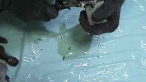 Что внутри Конденсатора МБГЧ-1?