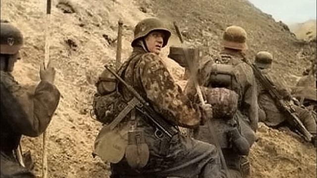 Дневник Немецкого Офицера. 1943 год. 31 Пехотная Дивизия Вермахта. Мемуары солдат. Военные истории.