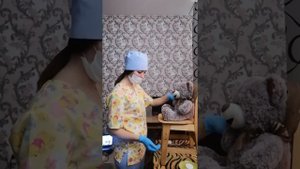 Измерение ЧДД