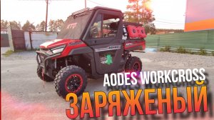 Тюнинг AODES WORKCROSS. Защита KTZ и другие аксессуары