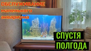 ОБСЛУЖИВАНИЕ маленького АКВАРИУМА #аквадекор  #оформлениеаквариума #аквариум #аквариумныйдизайн