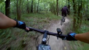 По лесным тропинкам