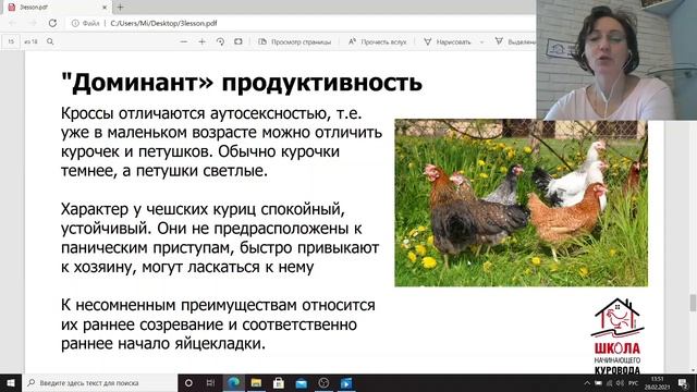 Лучшие яичные породы кур. Мясо яичные породы. Леггорн, Доминант или Пушкинская? Школа куровода.