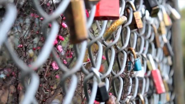 Canon EOS 1100D Test Video смотреть онлайн