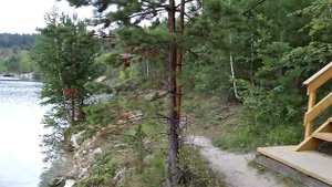 База отдыха "Оазис", Новосибирская область.