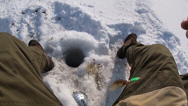 ОПЯТЬ НАВАГА!КОНЕЦ СЕЗОНА!ЗИМНЯЯ РЫБАЛКА ВЛАДИВОСТОКICEFISHING COD FISHING VLADIVOSTOK