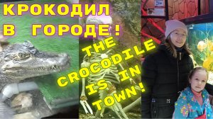 Мир аквариумов в Чебоксарах!