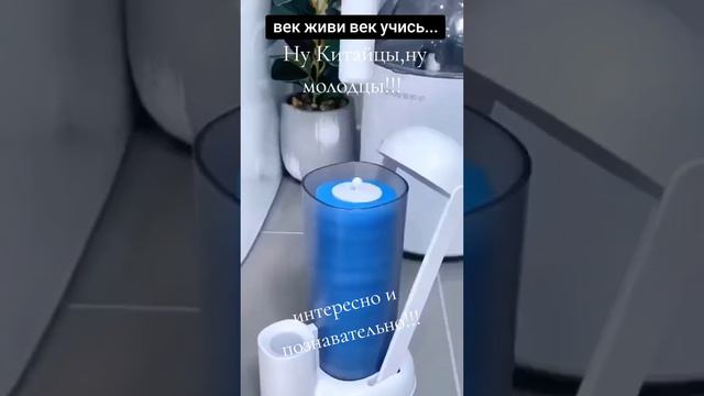 жиза