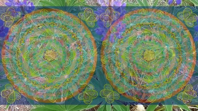 мандалы: изобилие & выравнивание божественной целостности во всех сферах | автор #katyapatternslove