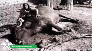 EL GRAN ACCIDENTE DE SEVESO-ITALIA 1976 (SENA-MONTERÍA)