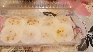 #Перец#подготовка семян к посадке✅Один из моих любимых способов подготовки семян перца к посадке.