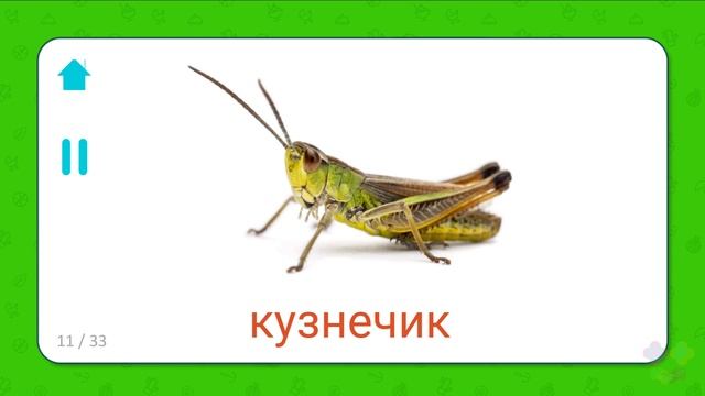 Учим названия Карточки 3