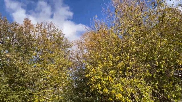 Делаю рентген степени плоскостопия в ФНКЦ (Москва) смотреть онлайн