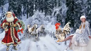 футаж тройка мчится