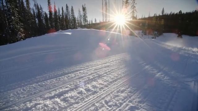 2015 Ski Doo GSX смотреть онлайн