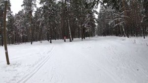 Едем в лес с семьёй на Ниве!