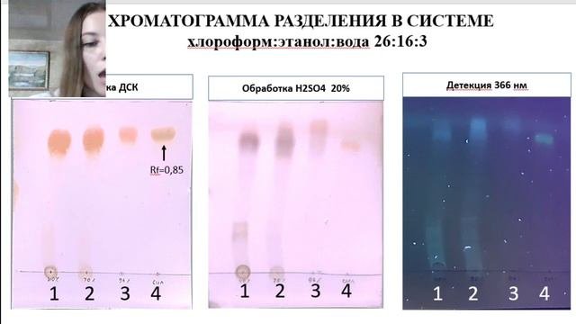 ХРОМАТОГРАФИЧЕСКИЙ АНАЛИЗ ПЛОДОВ ЛОПУХА ПАУТИНИСТОГО.