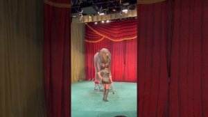 Уголок дедушки Дурова. Представление «Дорога - длиною в век». 10.09.2022