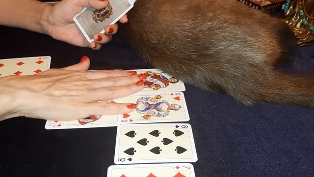 Бубновый ♦️Король! Как сложатся ваши отношения♥️♥️♥️