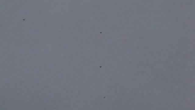 Разминка между дождями и туманами смотреть онлайн