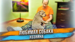 Наши собаки не живут в вольерах!?
