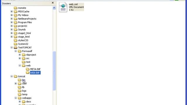 Video J2ee - créer une application web avec NetBeans смотреть онлайн