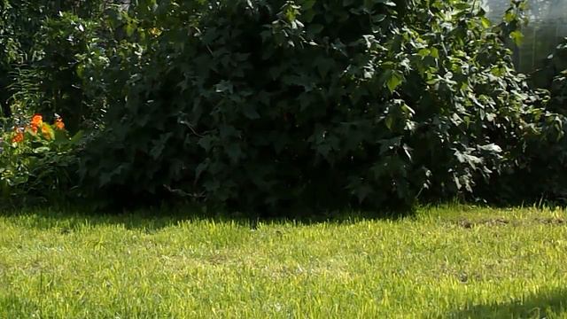 DSCN2099 смотреть онлайн