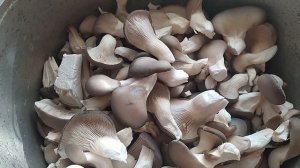 Light Version Маринованные Грибы Вешенка Рецепт от Возьми и Сделай Просто Быстро Вкусно