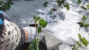 Упрощённое надёжное крепление спанбонда