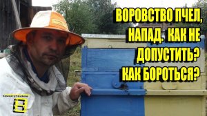 ВОРОВСТВО НА ПАСЕКЕ. НАПАД ПЧЕЛ. КАК НЕ ДОПУСТИТЬ? ПОДКОРМКА. ЛЮБИТЕЛЬСКОЕ ПЧЕЛОВОДСТВО С "0"