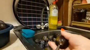 СУХАФРУКТЫ  ИЗ  ЧЕРНОСЛИВА  НА   ЗИМУ / В  ДОМАШНИХ  УСЛОВИЯХ