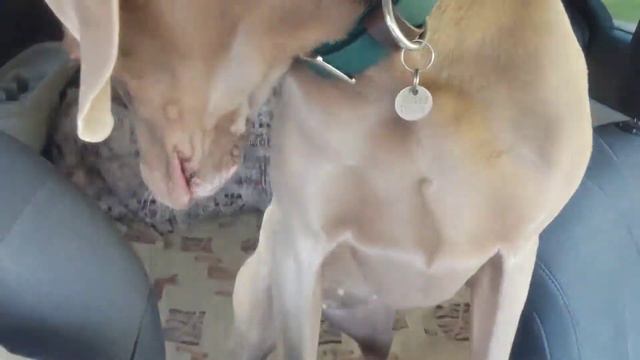 21 августа 2022 г. смотреть онлайн