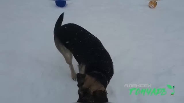 Гончаръ 1 апреля день радости смотреть онлайн