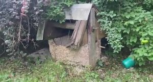 Купили заброшенную дачу...Часть третья. Ищем клад