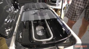 Газовый портативный гриль Weber Traveler black