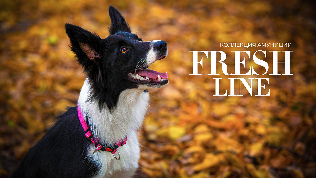 Коллекция амуниции FRESH LINE смотреть онлайн