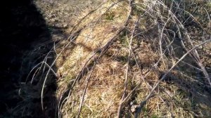 Высокая грядка Зеппа Хольцера.Особенности расположения и формы