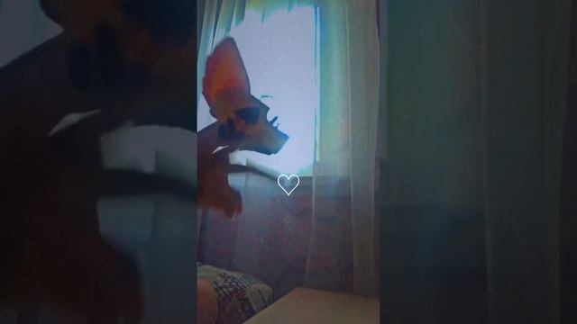 Всех с первым днём лета!!!! Желаю отличного лета и что бы оно не пролетело быстро! смотреть онлайн