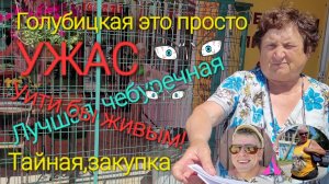 Голубицкая, обзор - это УЖАС ! Уйти бы живым! Тайная закупка в Чебуречной.