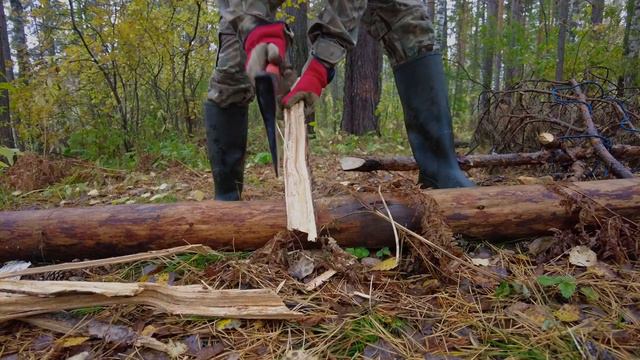 Однодневный поход с Бади